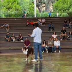Familias coahuilenses participan en taller de adiestramiento y vacunación gratuita para mascotas1