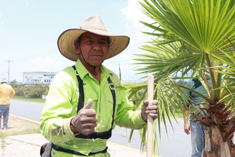 Impulsa Javier Díaz acciones de reforestación en Saltillo