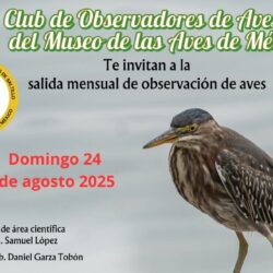 Invita MUSAVE a “pajarear” este domingo en la presa Palo Blanco
