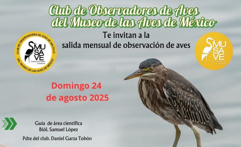 Invita MUSAVE a “pajarear” este domingo en la presa Palo Blanco