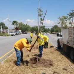 Mejora Javier Díaz el bulevar Morelos de manera integral2