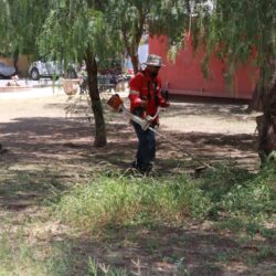 Mejora Javier Díaz el bulevar Morelos de manera integral3