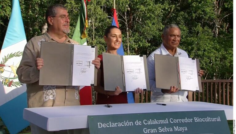 Pactan México, Guatemala y Belice protección de Selva Maya