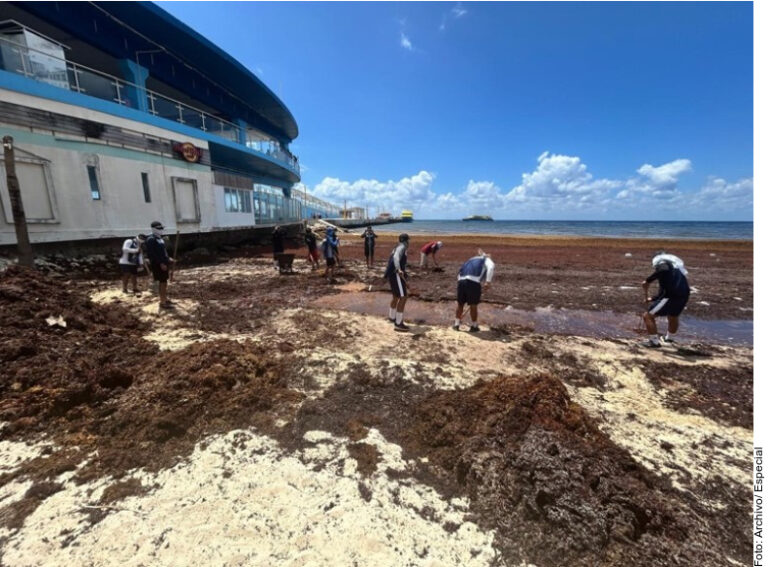 Pegan crimen y sargazo a turismo en Quintana Roo