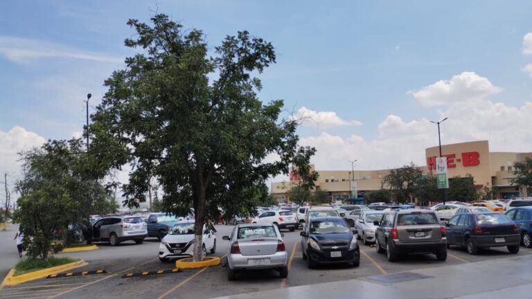 Por afectaciones en árboles añejos, deberá centro comercial “La Nogalera” hacer acciones de remediación y reforestación