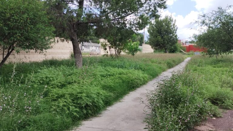 Reforzarán labores de mantenimiento y limpieza en plazas públicas de Saltillo