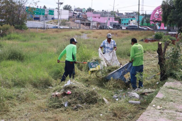 Continúan trabajos de limpieza y deshierbe por todo Saltillo