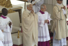 Viral: El papa León XIV auxilia a un feligrés desmayado por la ola de calor en el Vaticano