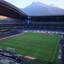 los estadios 2
