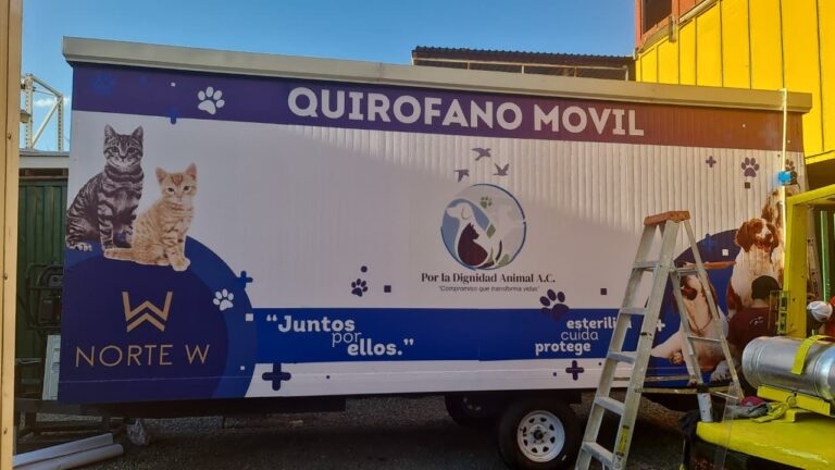 Nace en Saltillo la agrupación Dignidad Animal AC