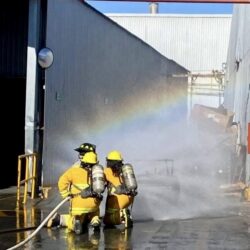 nvita protección civil 4