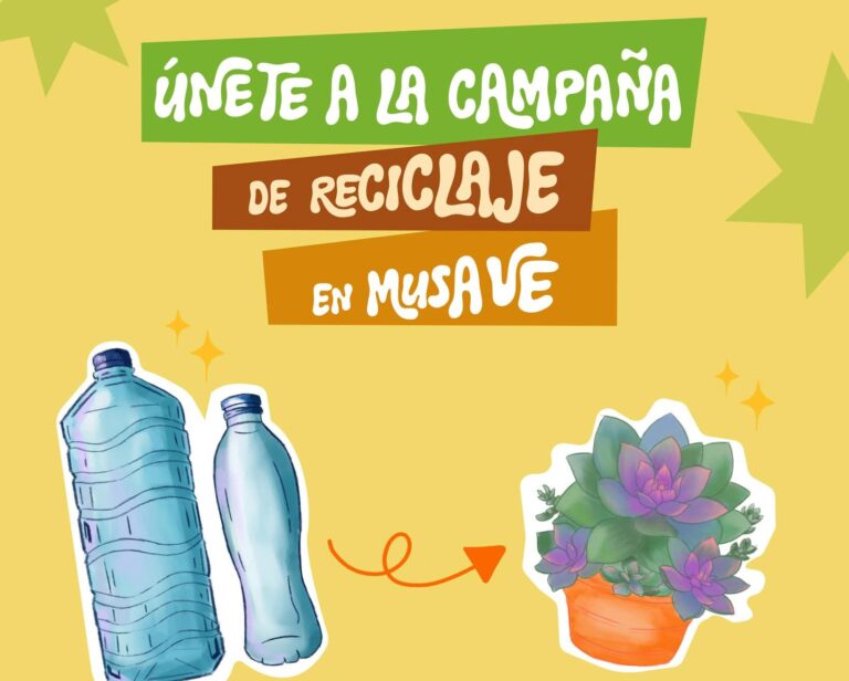 Cambiará MUSAVE plantas suculentas por botellas de PET este sábado y domingo
