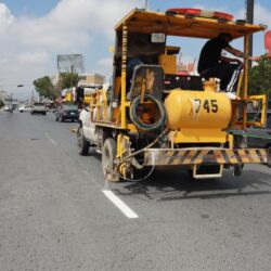 Continúan trabajos de reforestación en Saltillo3