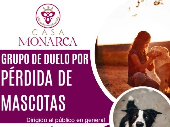 Crean en Saltillo grupo de acompañamiento por fallecimiento de mascotas