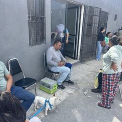 Éxito en jornada de esterilización, vacunación y desparasitación en la colonia Analco II1