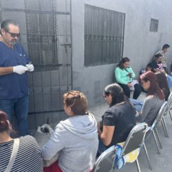 Éxito en jornada de esterilización, vacunación y desparasitación en la colonia Analco II5