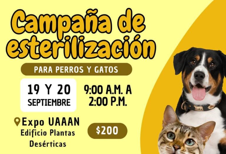 Habrá campañas de vacunación y esterilización para perros y gatos en la UAAAN los días 18, 19 y 20 de septiembre
