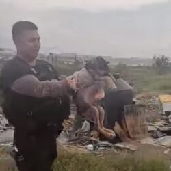 Policías municipales rescatan a mascota en estado de abandono en Ramos Arizpe1