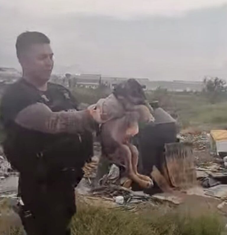 Policías municipales rescatan a mascota en estado de abandono en Ramos Arizpe