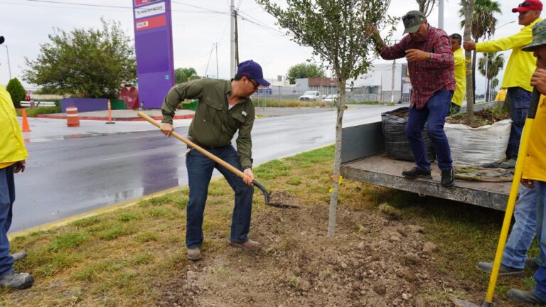 Reforestación en Saltillo llega al bulevar Colosio
