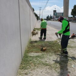 Refuerza municipio trabajos en áreas verdes y vialidades de Saltillo