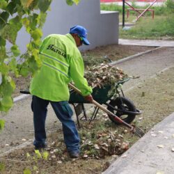 Refuerza municipio trabajos en áreas verdes y vialidades de Saltillo2