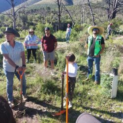 Saltillo Ecológico planta más de 10 mil árboles en la Sierra de Arteaga7
