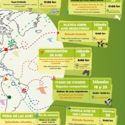 Será del 4 al 26 de octubre el noveno Festival de Aves Migratorias en el MUSAVE