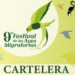 Será del 4 al 26 de octubre el noveno Festival de Aves Migratorias en el MUSAVE2