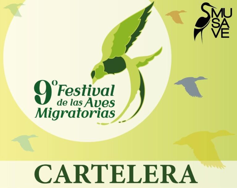 Será del 4 al 26 de octubre el noveno Festival de Aves Migratorias en el MUSAVE