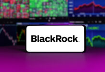 BlackRock invertirá capital significativo para mejorar los retornos de inversión de los inversores mexicanos