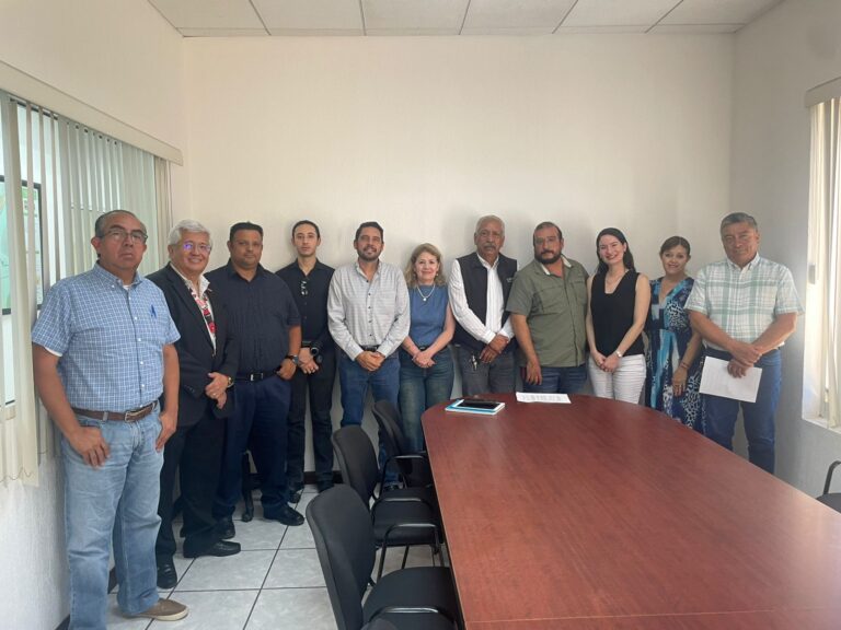 Ciudadanos impulsan proyecto para evitar inundaciones en arroyo “Ceballos”