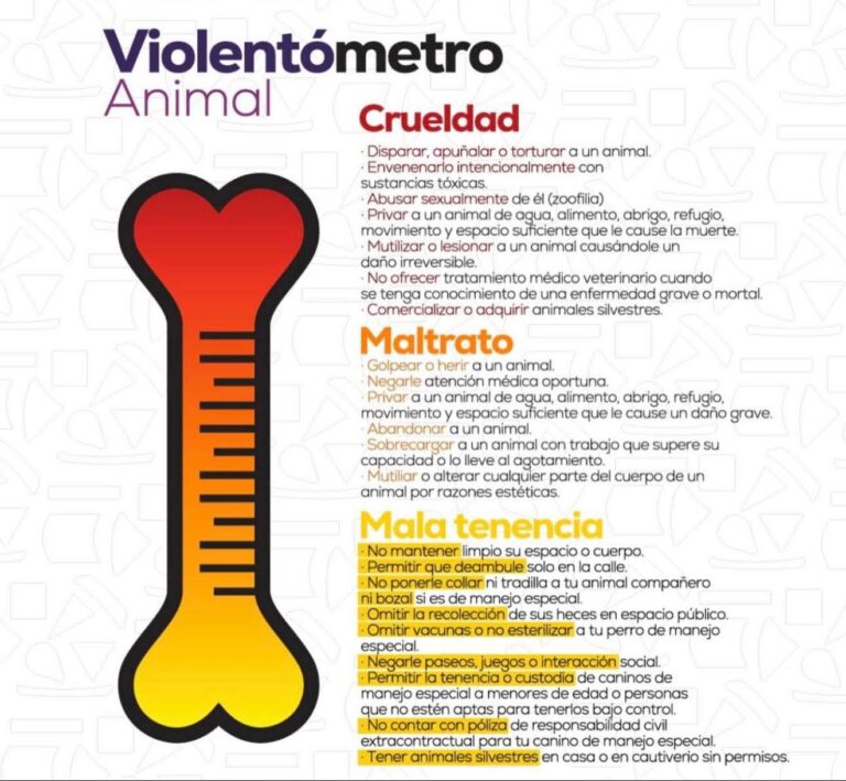 Difunden agrupaciones protectoras de Saltillo el «Violentómetro Animal» para prevenir el maltrato