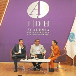 impartenConferencia AIDH _2