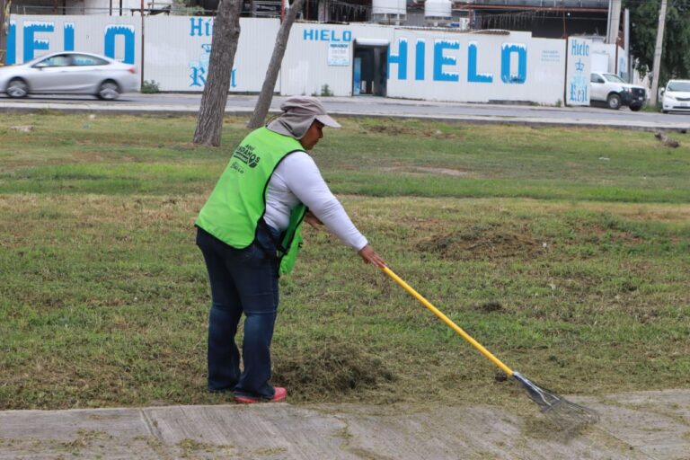 Rehabilita Saltillo infraestructura y áreas verdes de Paseo de la Reforma