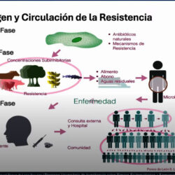 resistencia 2
