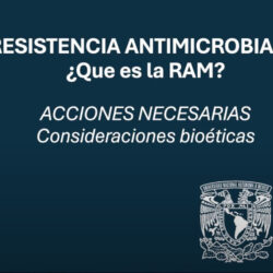 resistencia 3