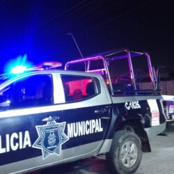 Atiende 800 VIOLETA primeros casos de violencia contra la mujer1