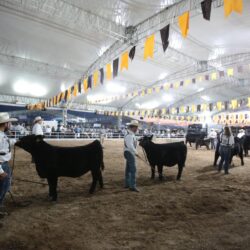 Espectacular inicio del Rodeo Saltillo 20253