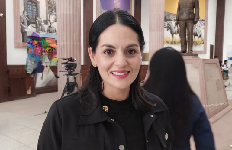 Hay en niños y adolescentes de Coahuila áreas de oportunidad para legislar: Luz Elena Morales