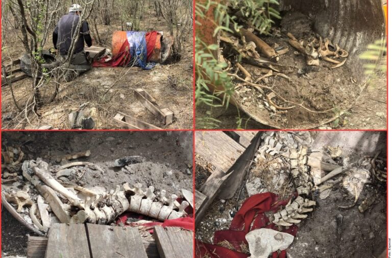 Indagan en Tamaulipas nuevo ‘sitio de exterminio’