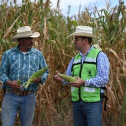 Llega al campo saltillense una inversión cercana a los 13 mdp en apoyos directos a la agricultura3