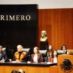 “Los avances en seguridad no cuadran. La paz y la seguridad están muy lejanas de los propósitos de esta administración federal”. Miguel Riquelme Solís