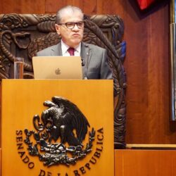 “Los avances en seguridad no cuadran. La paz y la seguridad están muy lejanas de los propósitos de esta administración federal”. Miguel Riquelme Solís1