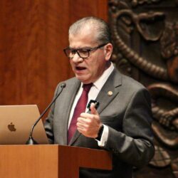 “Los avances en seguridad no cuadran. La paz y la seguridad están muy lejanas de los propósitos de esta administración federal”. Miguel Riquelme Solís2