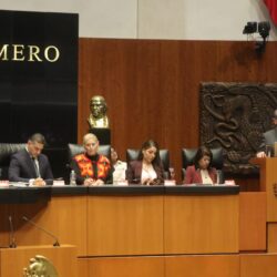 “Los avances en seguridad no cuadran. La paz y la seguridad están muy lejanas de los propósitos de esta administración federal”. Miguel Riquelme Solís5