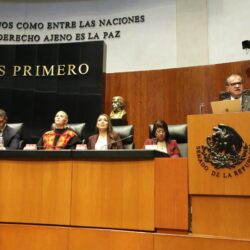 “Los avances en seguridad no cuadran. La paz y la seguridad están muy lejanas de los propósitos de esta administración federal”. Miguel Riquelme Solís6