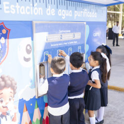 Oportunidades que crecen3