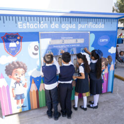 Oportunidades que crecen4