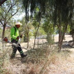 Pinta Saltillo camellones centrales para reforzar la seguridad vial3